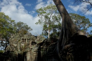 Siem Reap (ក្រុងសៀមរាប)