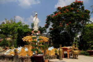 Vĩnh Long - Anh Binh