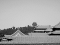 IMG_6840