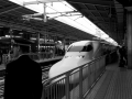 IMG_8624